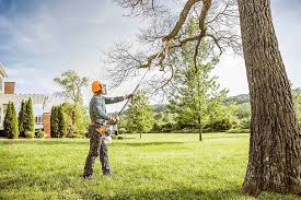 Seasonal Cleanup (Spring/Fall) in Rolling Hills, CA